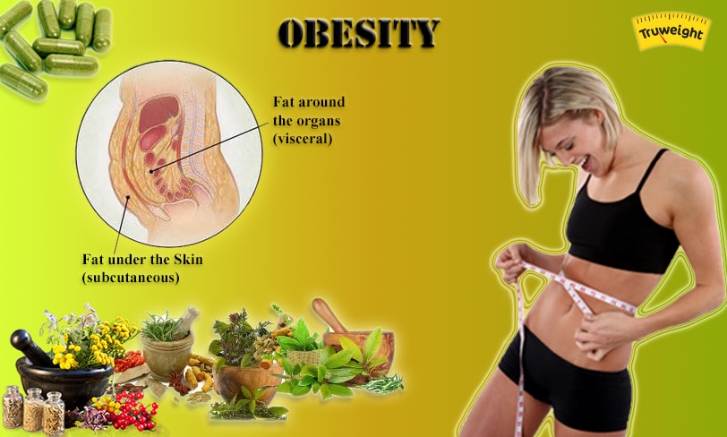 Obesity-ayurveda