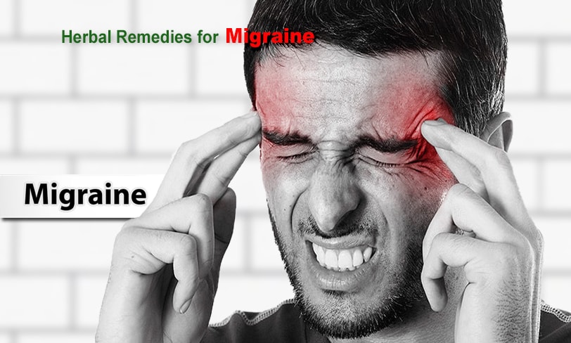 herbal-remedies-for-migraine